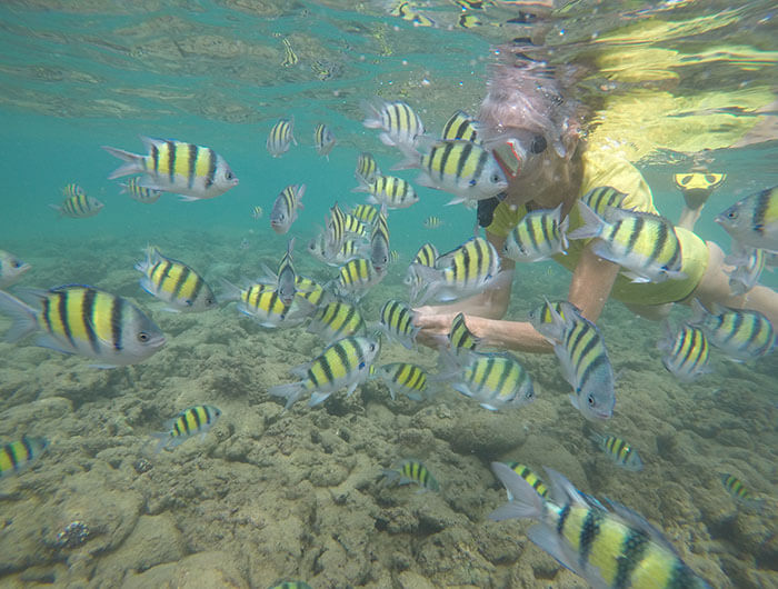 Snorkeling-img-banner-3