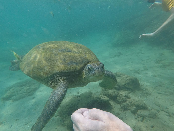 Snorkeling-img-banner-7