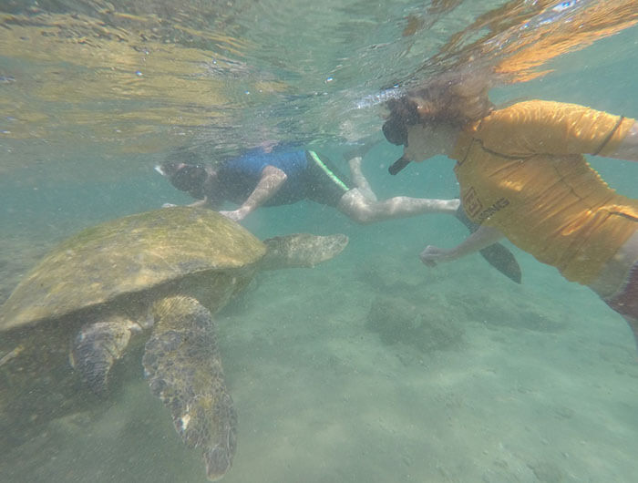 Snorkeling-img-banner-8